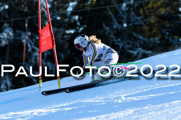 FIS AC NJC Damen + Herren Super-G