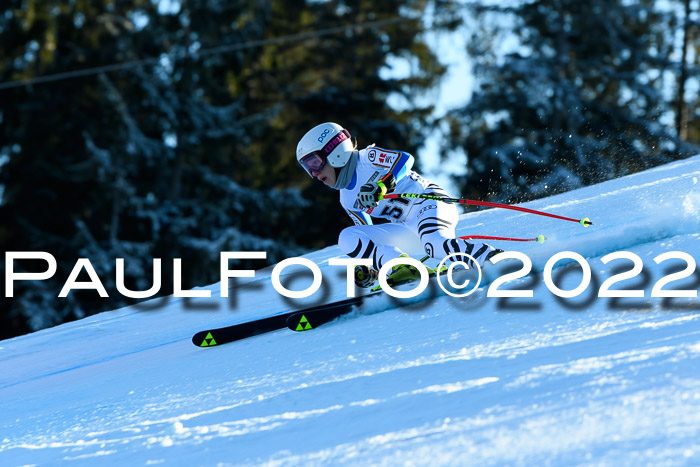 FIS AC NJC Damen + Herren Super-G