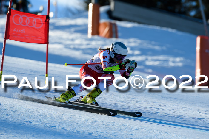 FIS AC NJC Damen + Herren Super-G