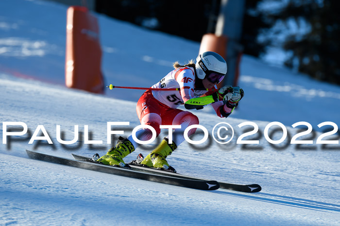 FIS AC NJC Damen + Herren Super-G