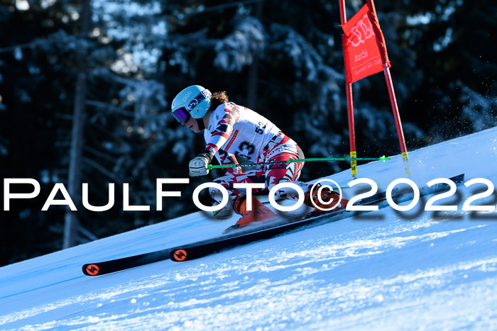 FIS AC NJC Damen + Herren Super-G