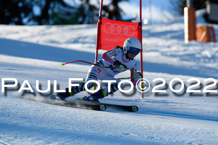 FIS AC NJC Damen + Herren Super-G