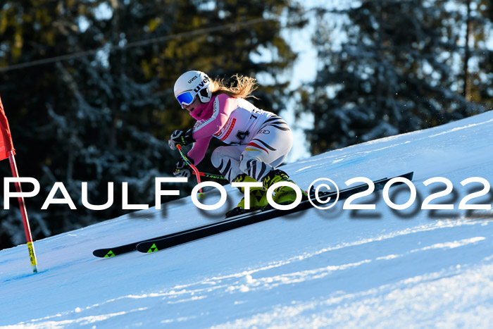 FIS AC NJC Damen + Herren Super-G
