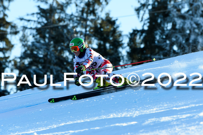 FIS AC NJC Damen + Herren Super-G