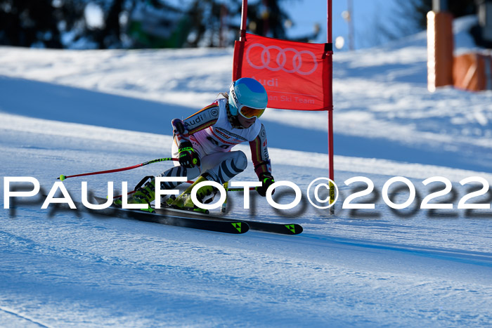 FIS AC NJC Damen + Herren Super-G