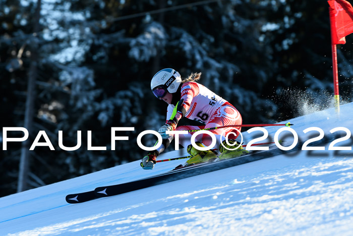 FIS AC NJC Damen + Herren Super-G