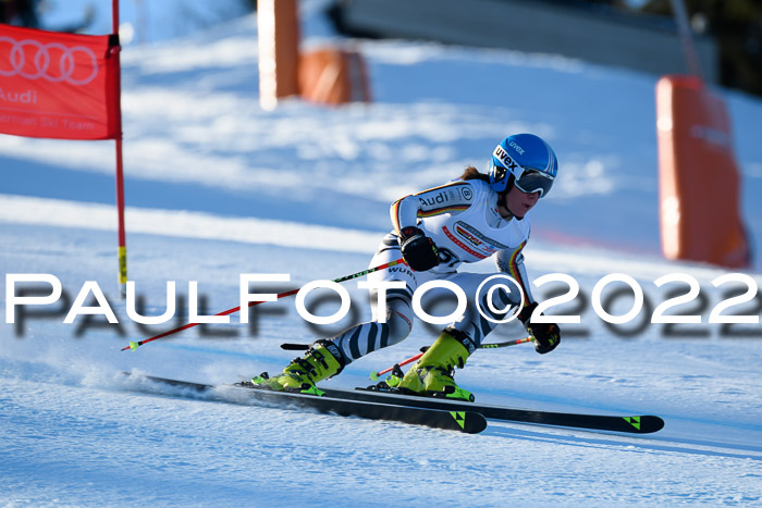 FIS AC NJC Damen + Herren Super-G