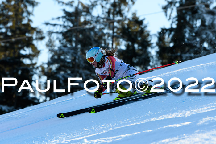 FIS AC NJC Damen + Herren Super-G