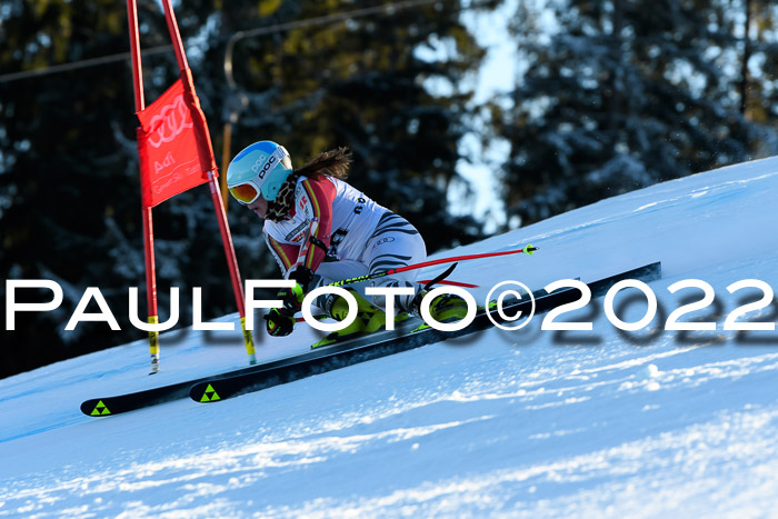 FIS AC NJC Damen + Herren Super-G