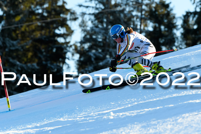 FIS AC NJC Damen + Herren Super-G