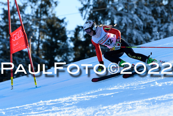 FIS AC NJC Damen + Herren Super-G