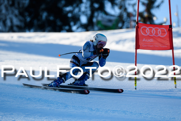 FIS AC NJC Damen + Herren Super-G