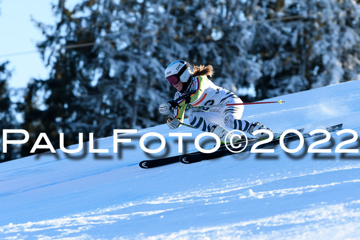 FIS AC NJC Damen + Herren Super-G