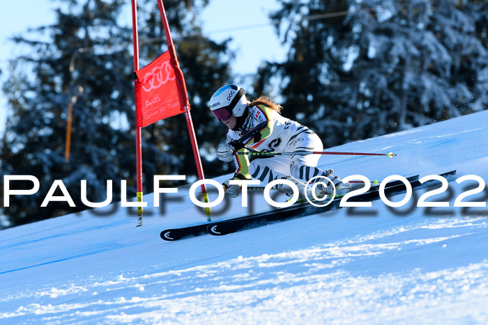 FIS AC NJC Damen + Herren Super-G