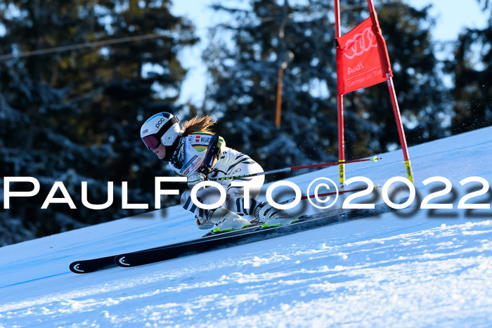FIS AC NJC Damen + Herren Super-G