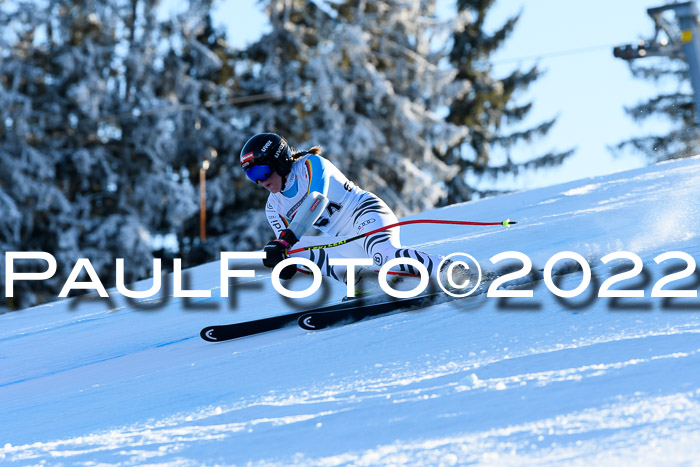 FIS AC NJC Damen + Herren Super-G