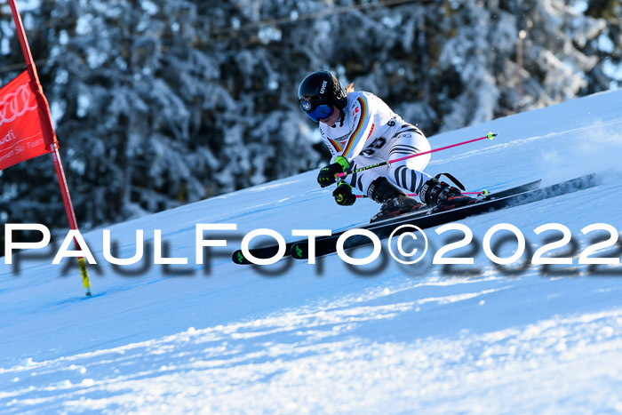 FIS AC NJC Damen + Herren Super-G