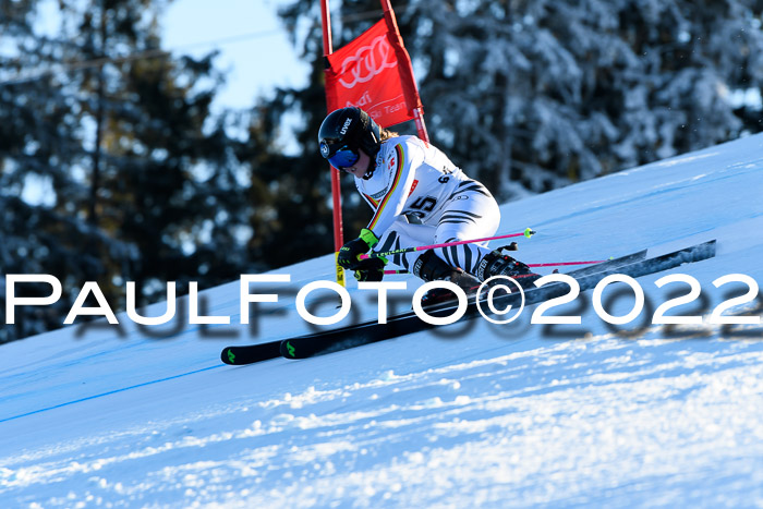 FIS AC NJC Damen + Herren Super-G
