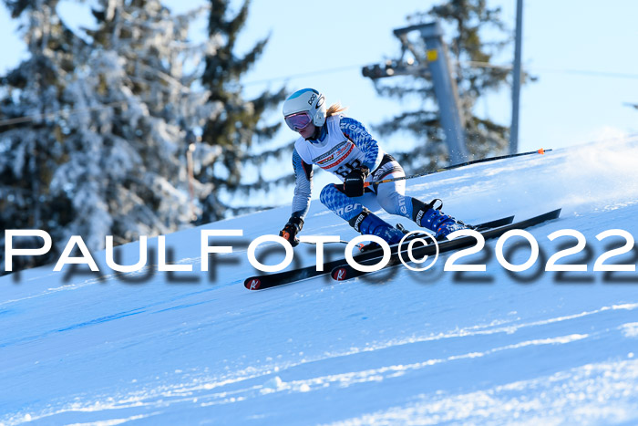FIS AC NJC Damen + Herren Super-G