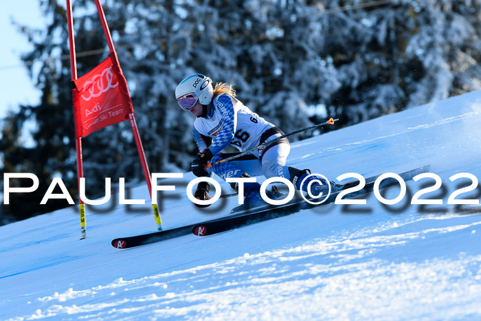 FIS AC NJC Damen + Herren Super-G