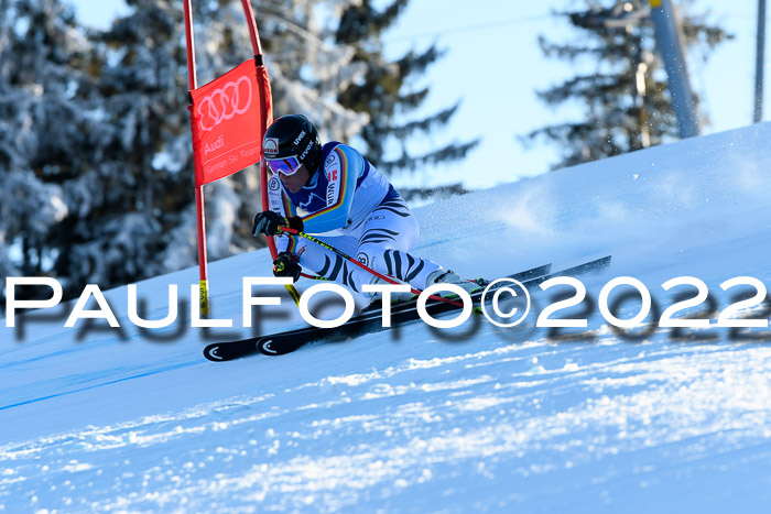 FIS AC NJC Damen + Herren Super-G