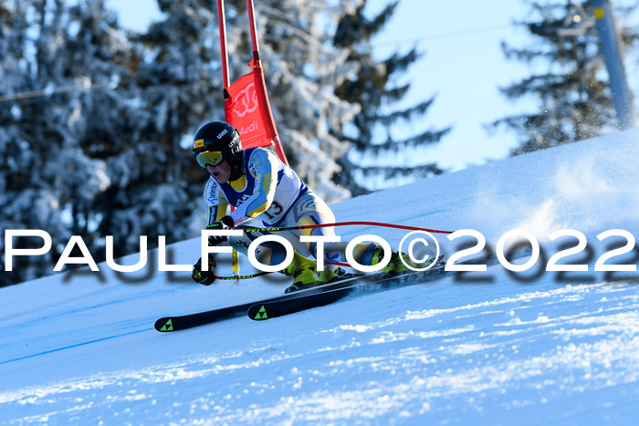 FIS AC NJC Damen + Herren Super-G