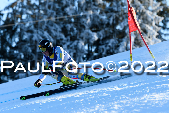 FIS AC NJC Damen + Herren Super-G