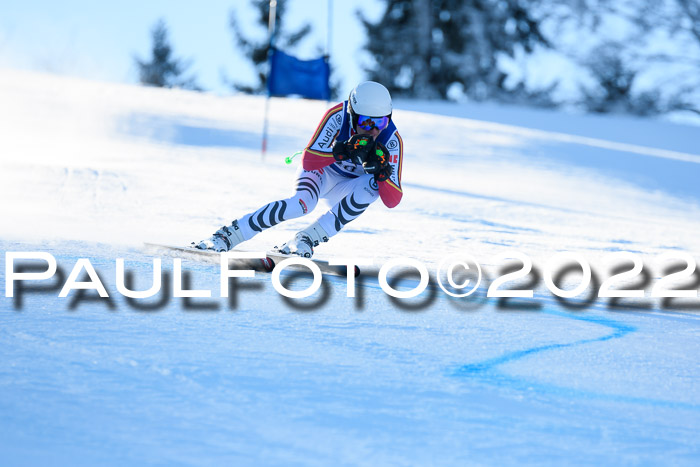 FIS AC NJC Damen + Herren Super-G