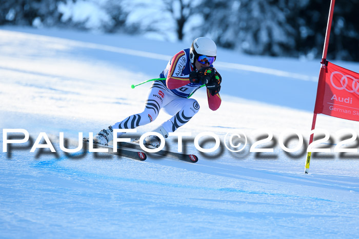 FIS AC NJC Damen + Herren Super-G