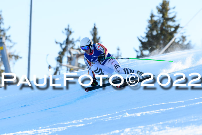 FIS AC NJC Damen + Herren Super-G
