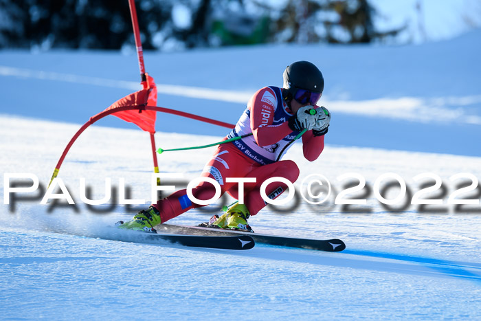 FIS AC NJC Damen + Herren Super-G
