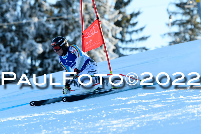 FIS AC NJC Damen + Herren Super-G
