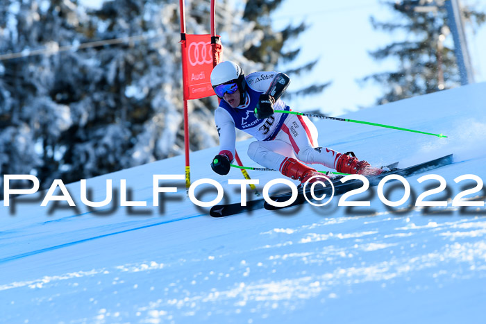 FIS AC NJC Damen + Herren Super-G