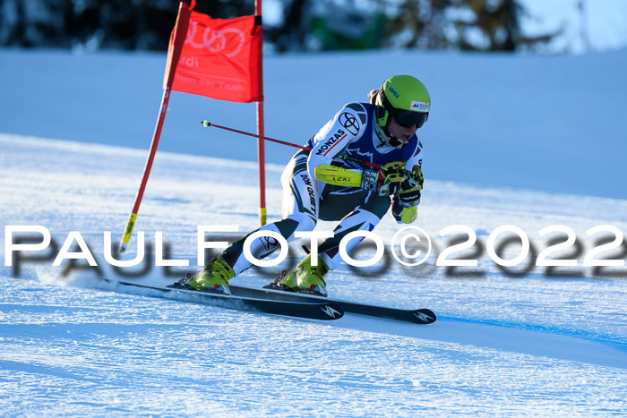 FIS AC NJC Damen + Herren Super-G
