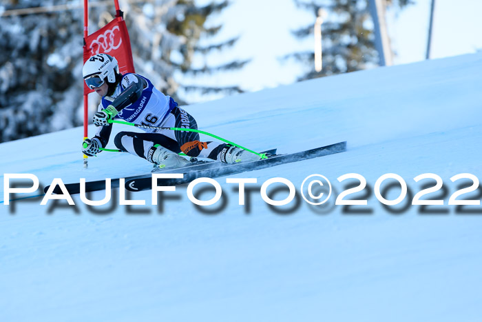 FIS AC NJC Damen + Herren Super-G