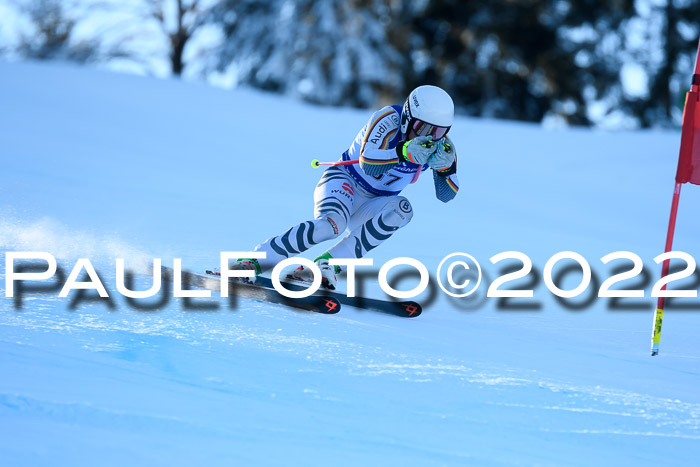 FIS AC NJC Damen + Herren Super-G