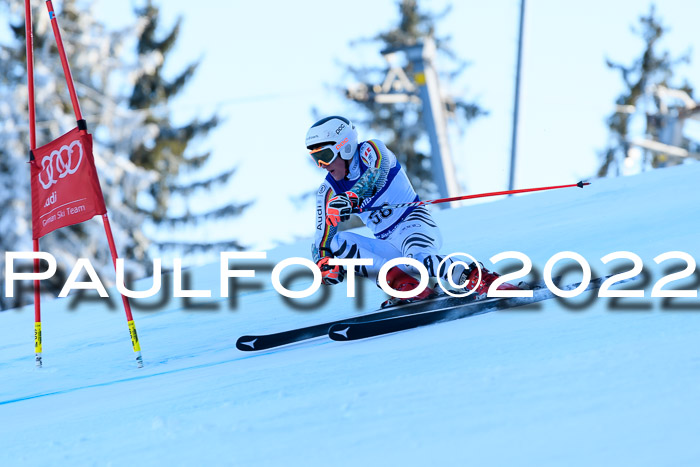 FIS AC NJC Damen + Herren Super-G