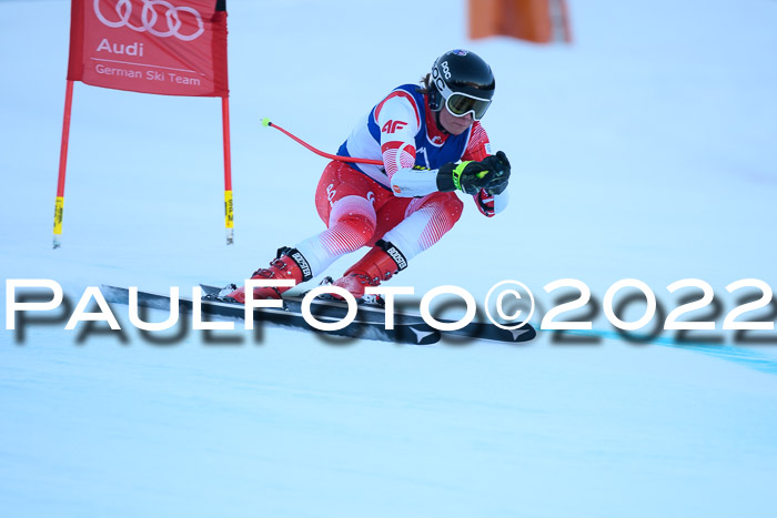 FIS AC NJC Damen + Herren Super-G
