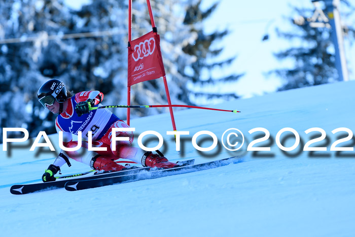 FIS AC NJC Damen + Herren Super-G