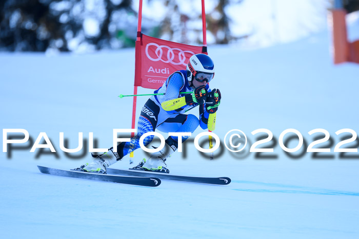 FIS AC NJC Damen + Herren Super-G
