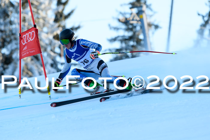 FIS AC NJC Damen + Herren Super-G