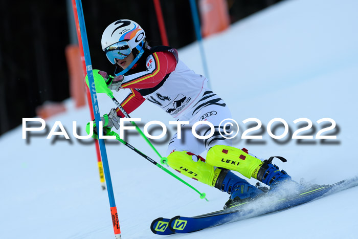 FIS AC NJC Damen + Herren Super-G