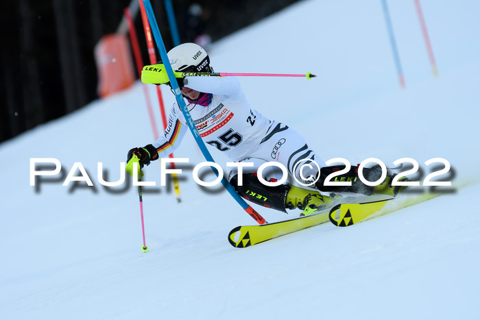 FIS AC NJC Damen + Herren Super-G