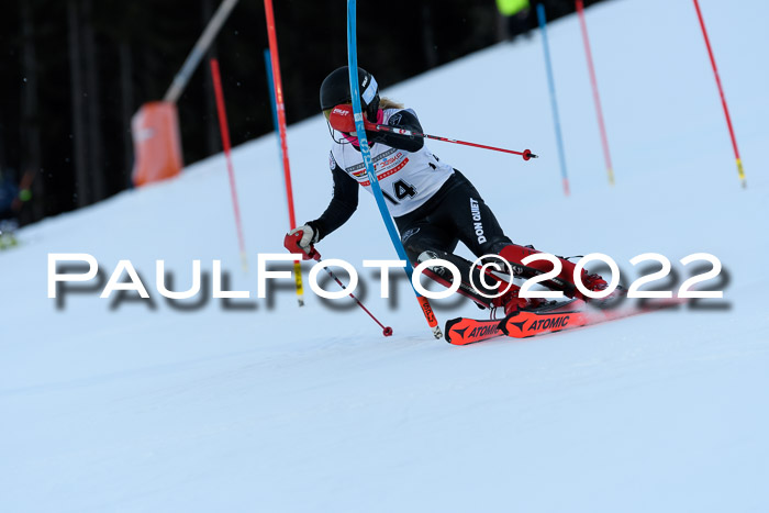 FIS AC NJC Damen + Herren Super-G