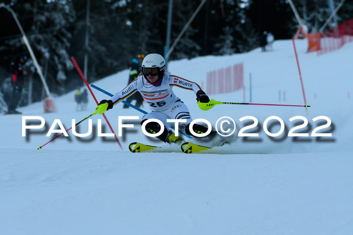 FIS AC NJC Damen + Herren Super-G