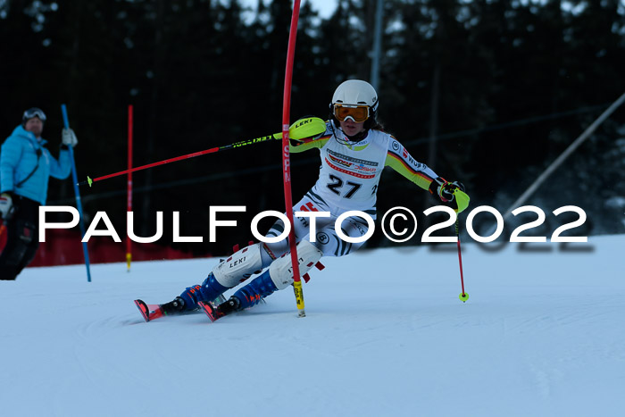 FIS AC NJC Damen + Herren Super-G