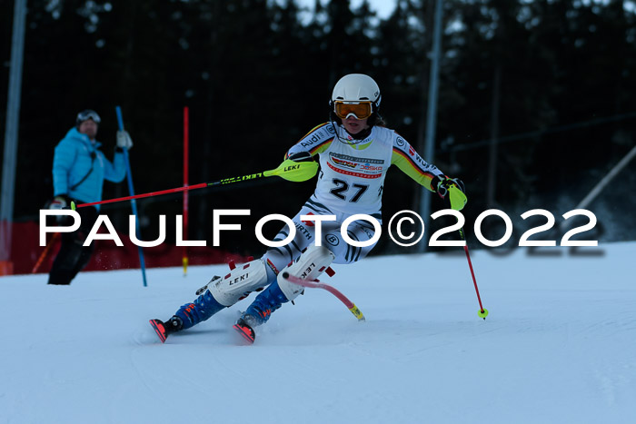 FIS AC NJC Damen + Herren Super-G