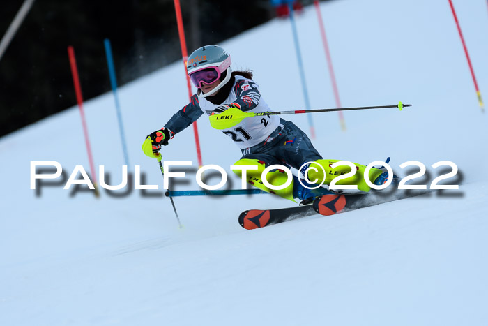 FIS AC NJC Damen + Herren Super-G