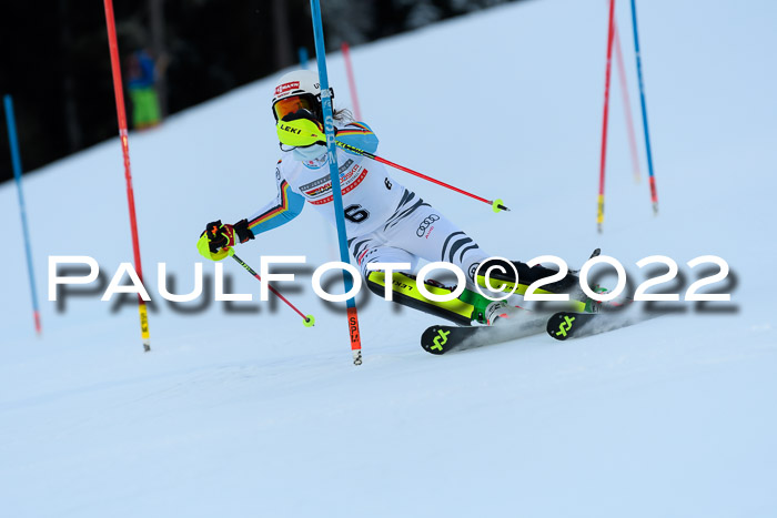 FIS AC NJC Damen + Herren Super-G