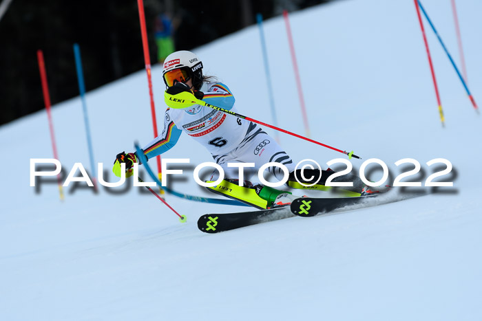 FIS AC NJC Damen + Herren Super-G